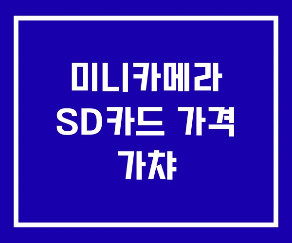 미니카메라 SD카드 가격 가챠 미니카메라 SD카드 가격 가챠