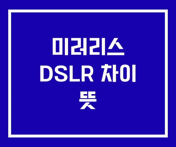 미러리스 DSLR 차이 뜻