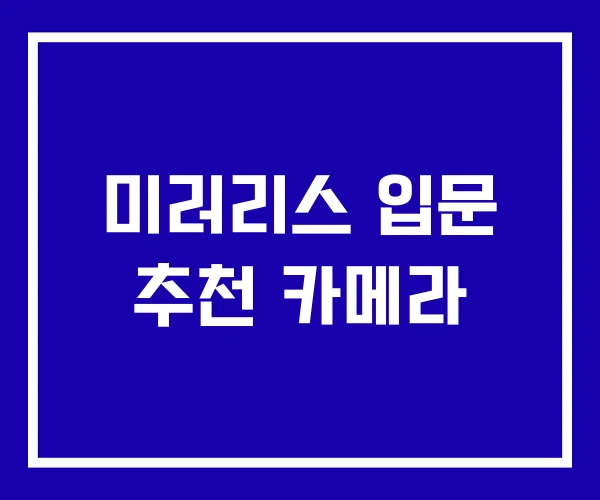 미러리스 입문 추천 카메라
