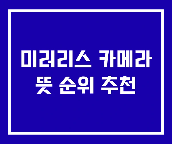 미러리스 카메라 뜻 순위 추천