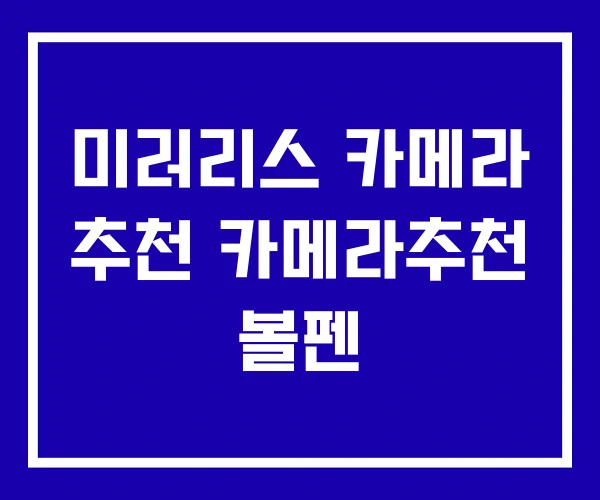 미러리스 카메라 추천 카메라추천 볼펜