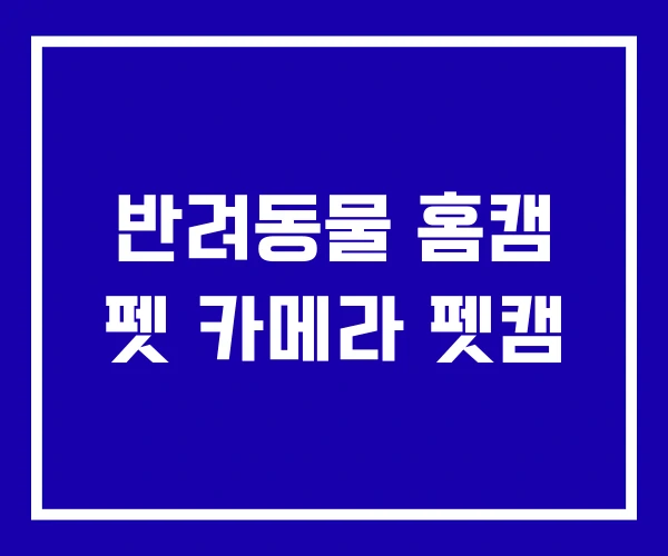 반려동물 홈캠 펫 카메라 펫캠 반려동물 홈캠 펫 카메라 펫캠