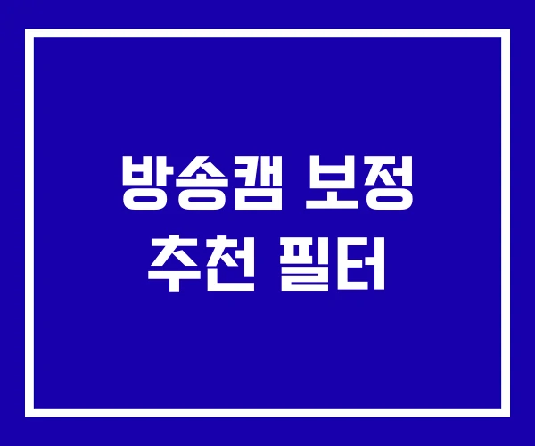 방송캠 보정 추천 필터