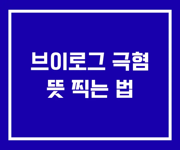 브이로그 극혐 뜻 찍는 법