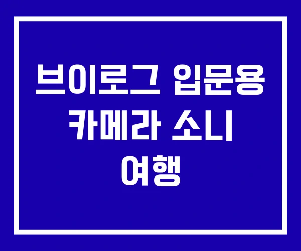 브이로그 입문용 카메라 소니 여행