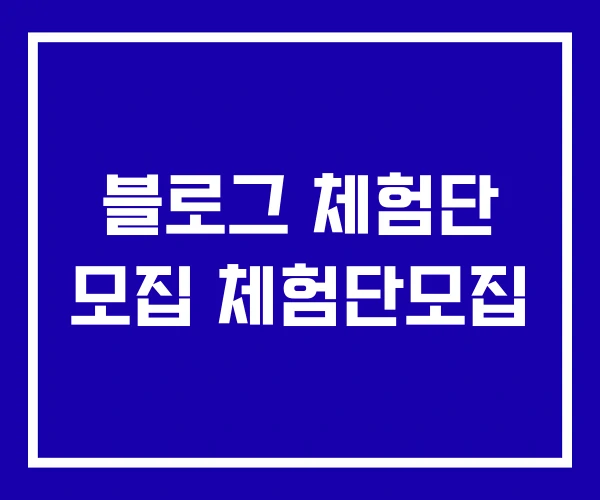 블로그 체험단 모집 체험단모집