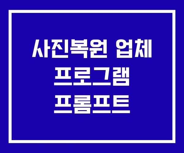 사진복원 업체 프로그램 프롬프트