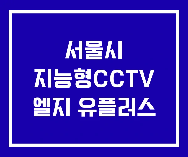 서울시 지능형CCTV 엘지 유플러스