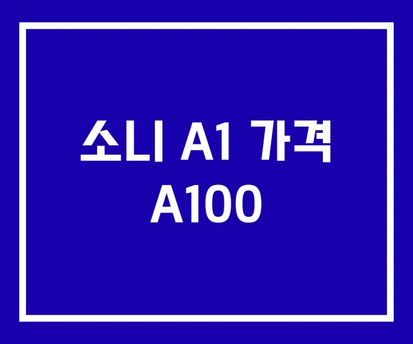 소니 A1 가격 A100 소니 A1 가격 A100