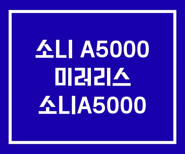 소니 A5000 미러리스 소니A5000 소니 A5000 미러리스 소니A5000