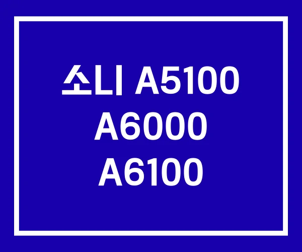 소니 A5100 A6000 A6100