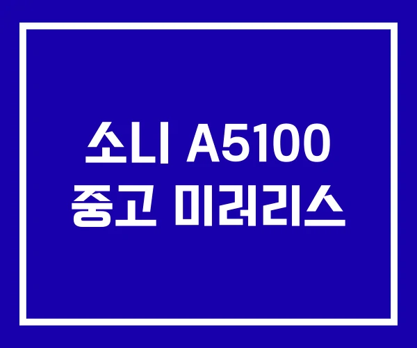 소니 A5100 중고 미러리스 소니 A5100 중고 미러리스