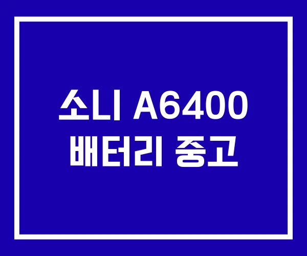 소니 A6400 배터리 중고