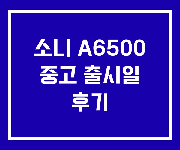 소니 A6500 중고 출시일 후기