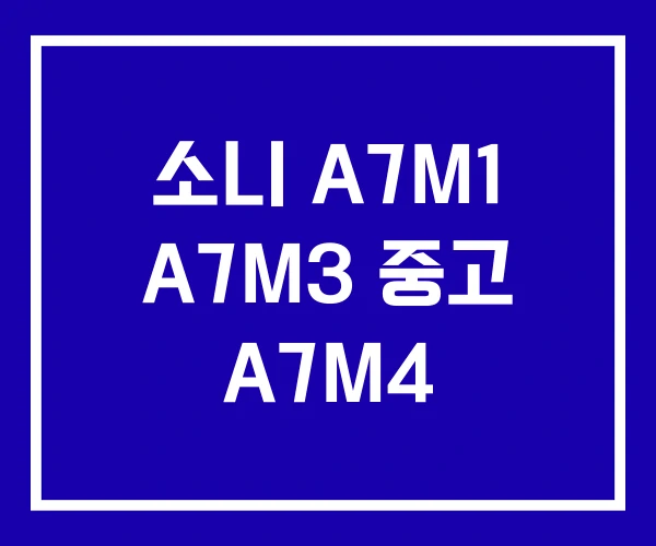 소니 A7M1 A7M3 중고 A7M4