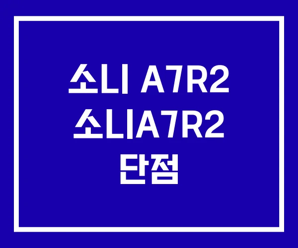 소니 A7R2 소니A7R2 단점