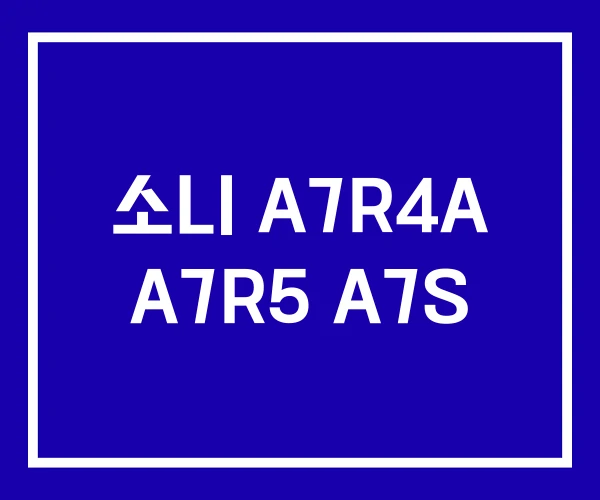 소니 A7R4A A7R5 A7S 소니 A7R4A A7R5 A7S