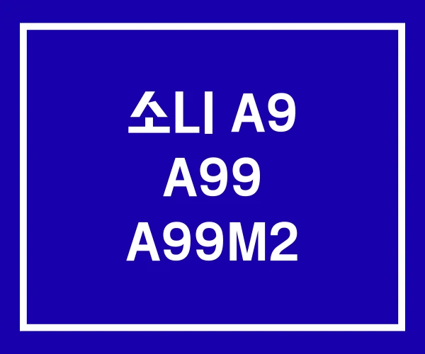 소니 A9 A99 A99M2