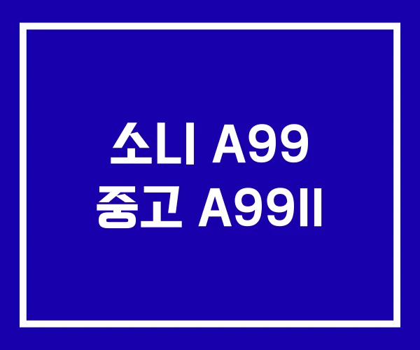 소니 A99 중고 A99II