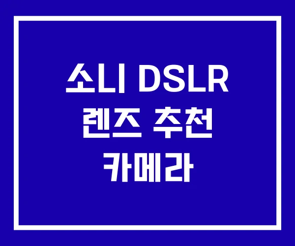 소니 DSLR 렌즈 추천 카메라