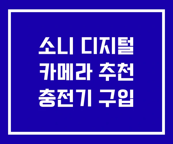 소니 디지털 카메라 추천 충전기 구입 소니 디지털 카메라 추천 충전기 구입
