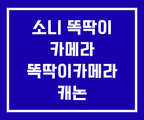 소니 똑딱이 카메라 똑딱이카메라 캐논 소니 똑딱이 카메라 똑딱이카메라 캐논