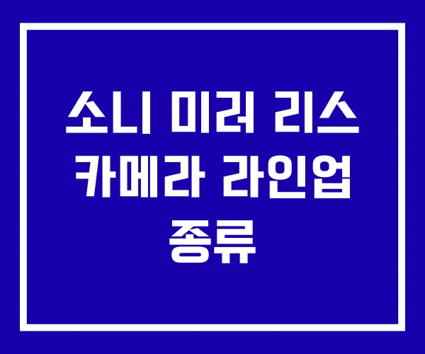 소니 미러 리스 카메라 라인업 종류 소니 미러 리스 카메라 라인업 종류