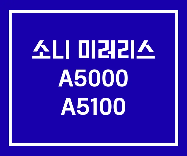 소니 미러리스 A5000 A5100