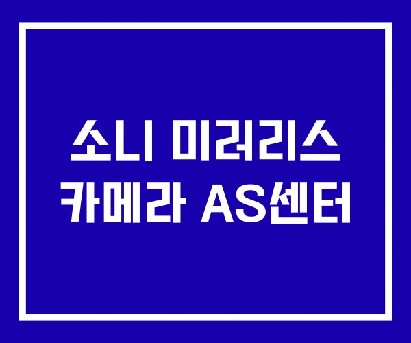 소니 미러리스 카메라 AS센터