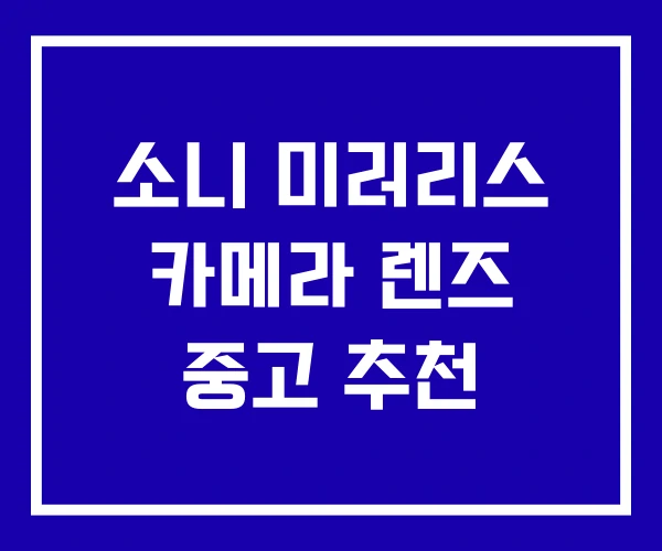 소니 미러리스 카메라 렌즈 중고 추천