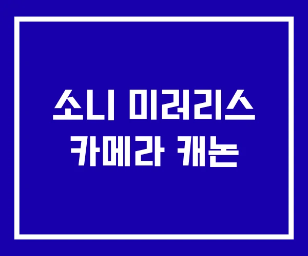 소니 미러리스 카메라 캐논