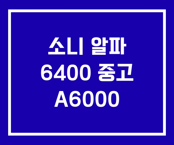 소니 알파 6400 중고 A6000