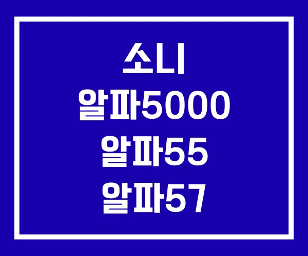 소니 알파5000 알파55 알파57