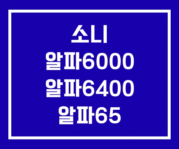 소니 알파6000 알파6400 알파65