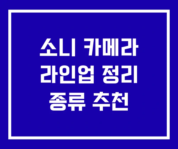 소니 카메라 라인업 정리 종류 추천