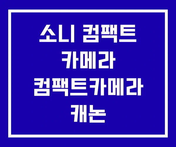 소니 컴팩트 카메라 컴팩트카메라 캐논