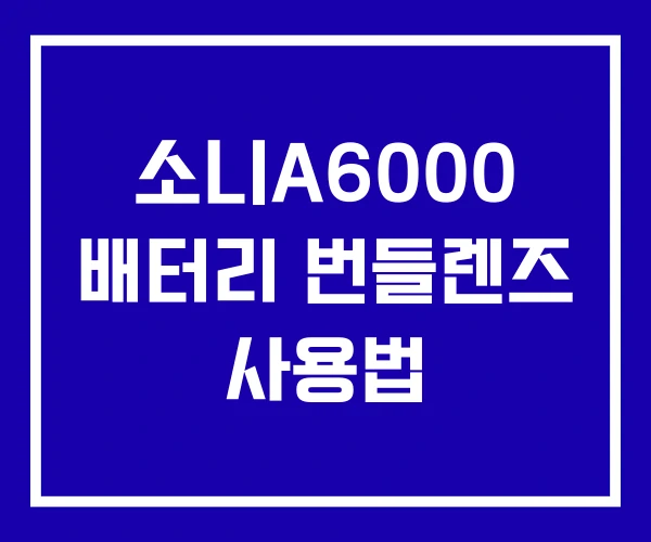 소니A6000 배터리 번들렌즈 사용법 소니A6000 배터리 번들렌즈 사용법