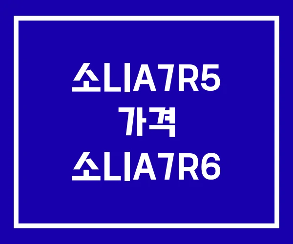소니A7R5 가격 소니A7R6