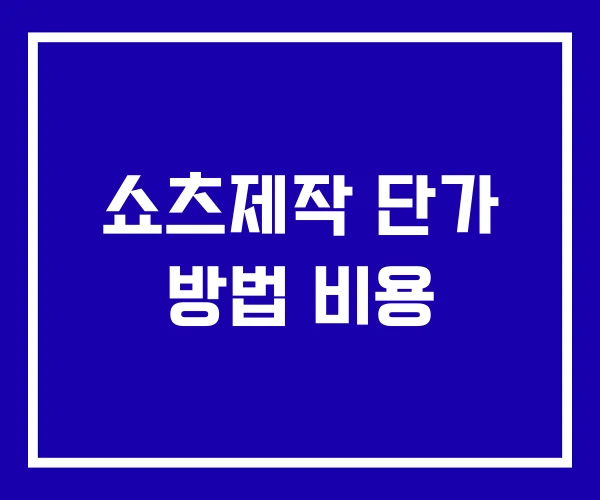 쇼츠제작 단가 방법 비용 쇼츠제작 단가 방법 비용