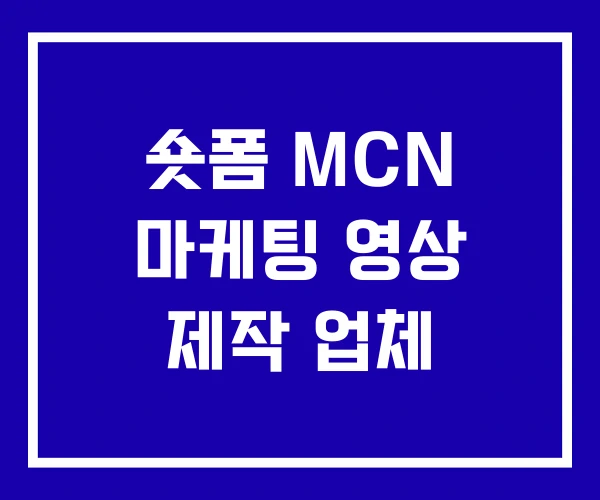 숏폼 MCN 마케팅 영상 제작 업체