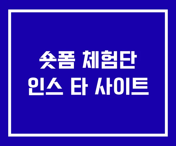 숏폼 체험단 인스 타 사이트