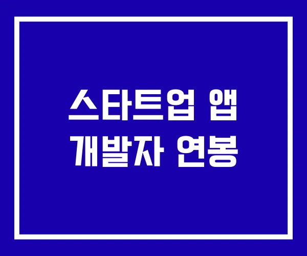 스타트업 앱 개발자 연봉 스타트업 앱 개발자 연봉