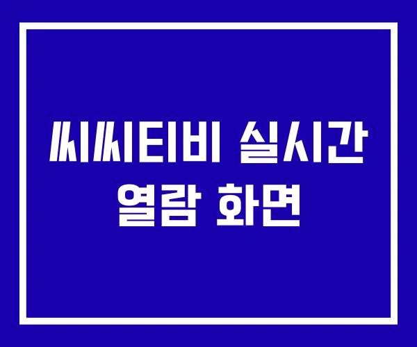 씨씨티비 실시간 열람 화면