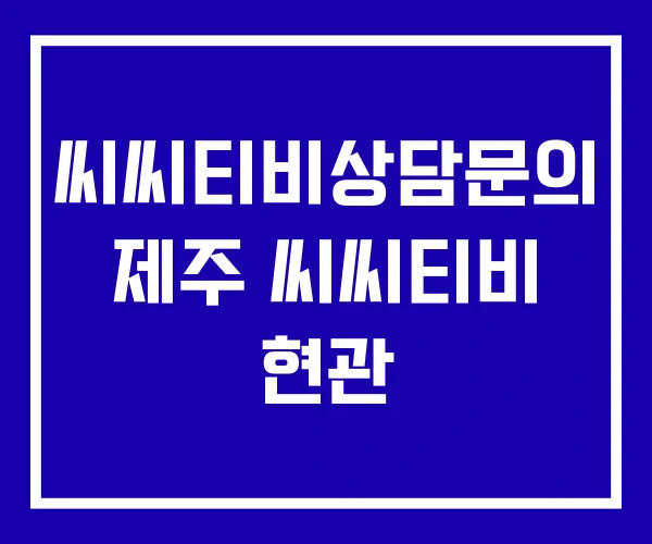 씨씨티비상담문의 제주 씨씨티비 현관
