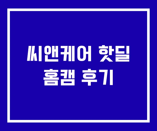 씨앤케어 핫딜 홈캠 후기 씨앤케어 핫딜 홈캠 후기