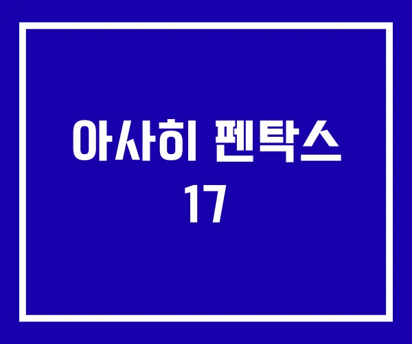 아사히 펜탁스 17