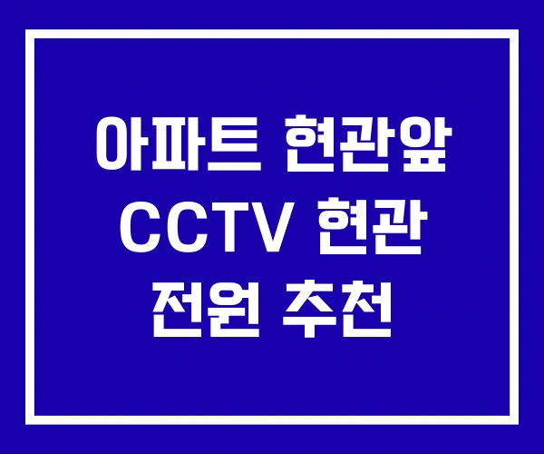 아파트 현관앞 CCTV 현관 전원 추천