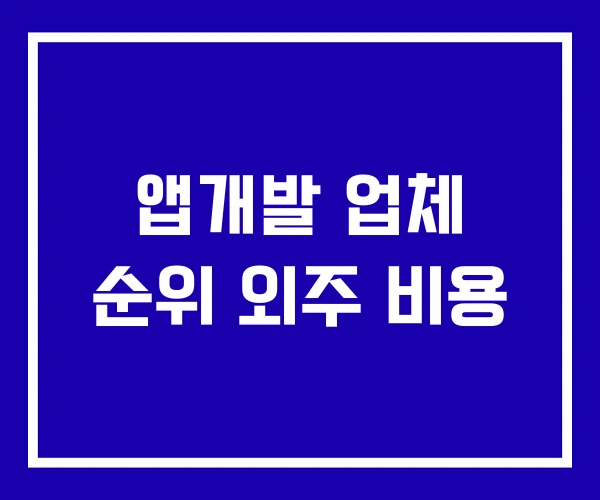 앱개발 업체 순위 외주 비용 앱개발 업체 순위 외주 비용