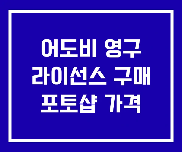 어도비 영구 라이선스 구매 포토샵 가격