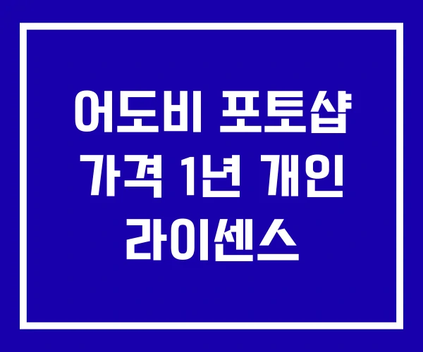 어도비 포토샵 가격 1년 개인 라이센스